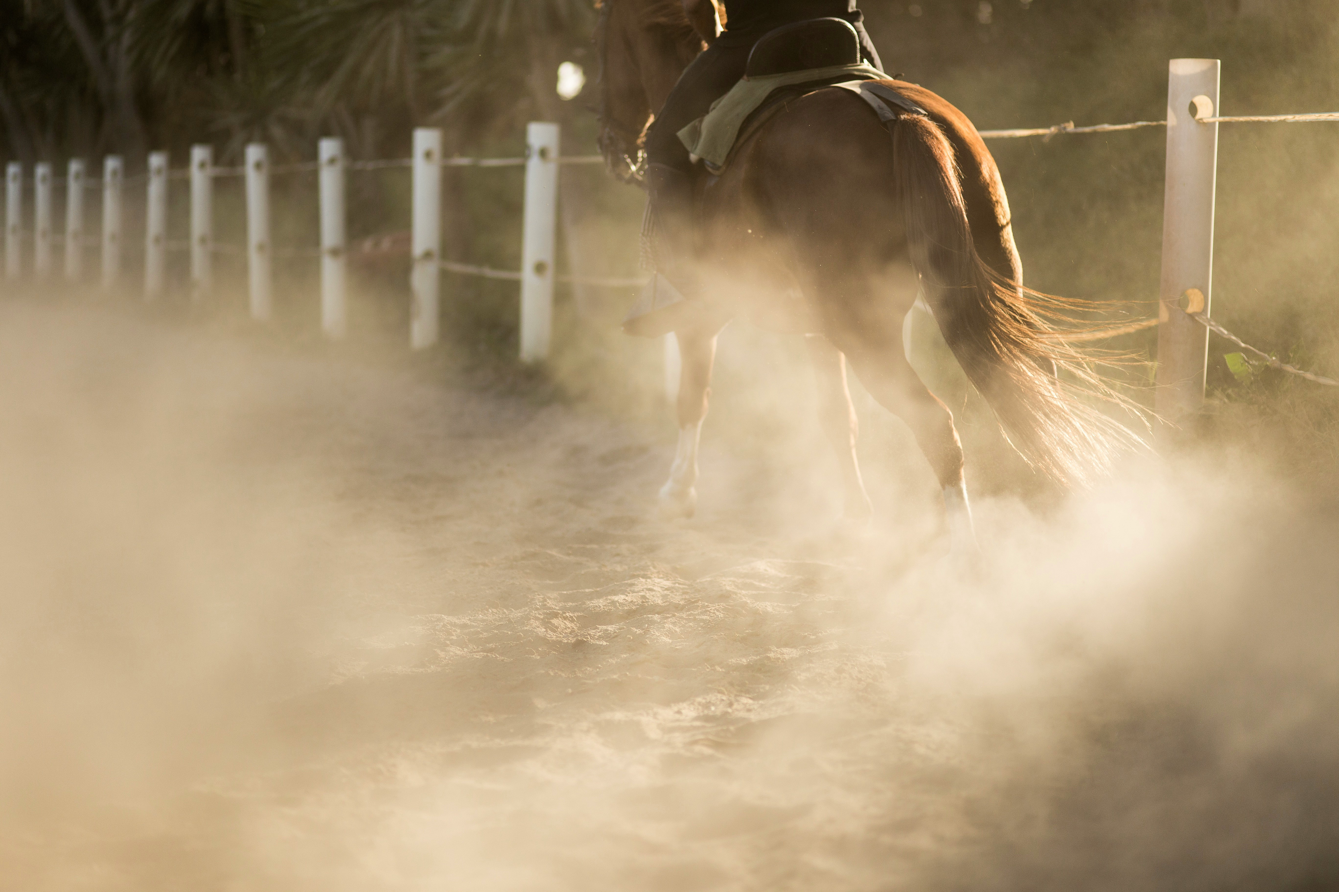 person riding horse on snow covered field during daytime